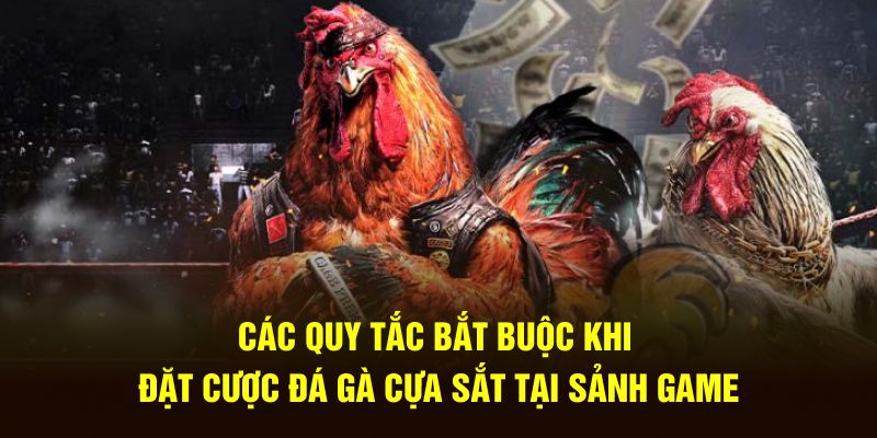 Các quy tắc bắt buộc khi đặt cược đá gà cựa sắt tại sảnh game