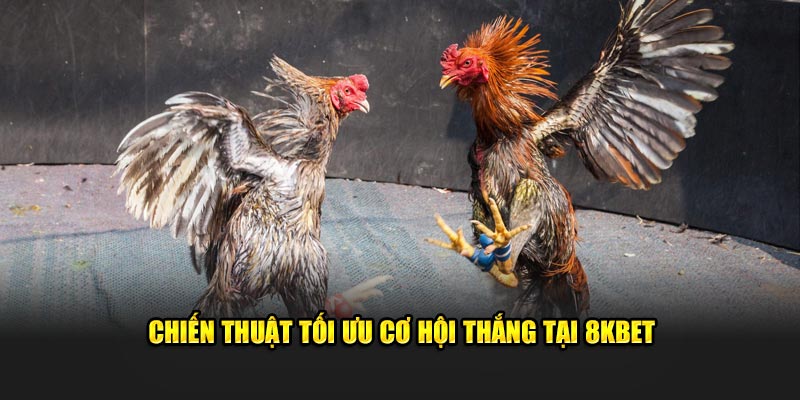 Chiến thuật tối ưu cơ hội thắng tại 8KBET