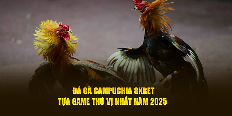 Đá Gà Campuchia 8Kbet - Tựa Game Thú Vị Nhất Năm 2025