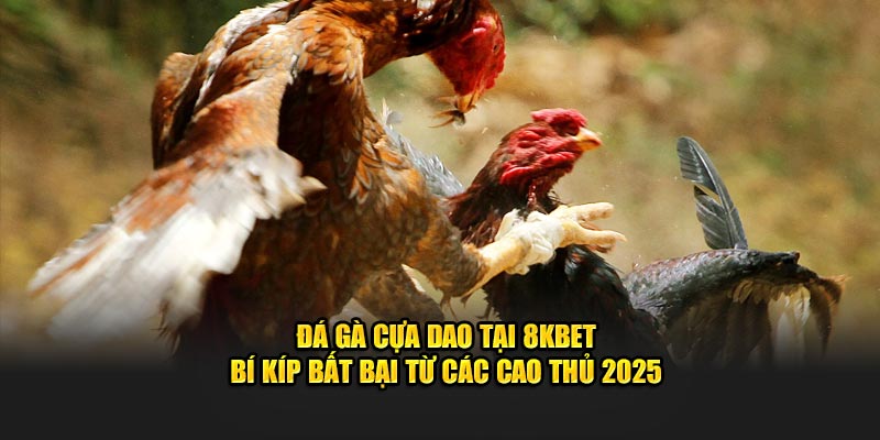 Đá Gà Cựa Dao 8KBET Bí Kíp Bất Bại Từ Các Cao Thủ 2025