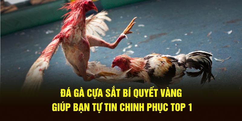 Đá Gà Cựa Sắt - Bí Quyết Vàng Giúp Bạn Tự Tin Chinh Phục Top 1