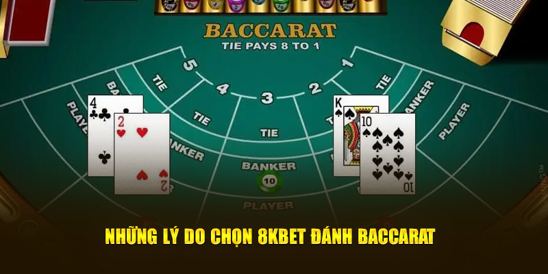 Những lý do chọn 8KBET đánh Baccarat